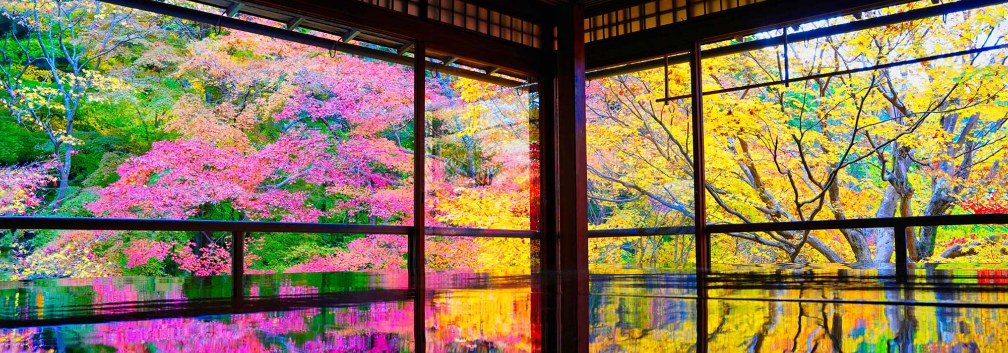 京都の景観2